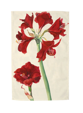 Emma Bridgewater Amaryllis Tea Towel