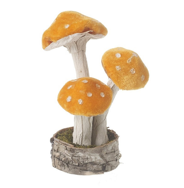Velvet Orange Standing Toadstools