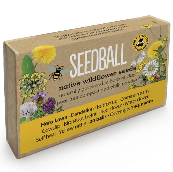 Seedball Hero Lawn