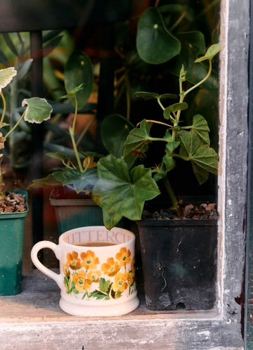 Emma Bridgewater Buttercup Small Mug