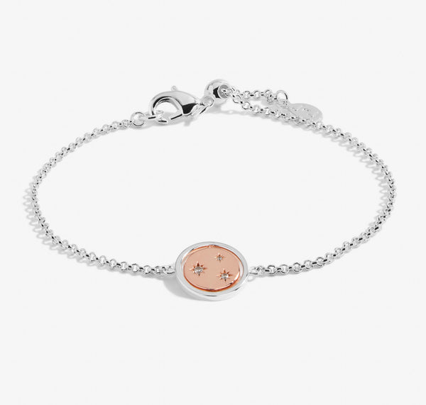 Joma Jewellery Sentiment Spinners 'Family' Bracelet