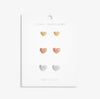 Joma Jewellery Florence Graduating Hearts Earrings Set