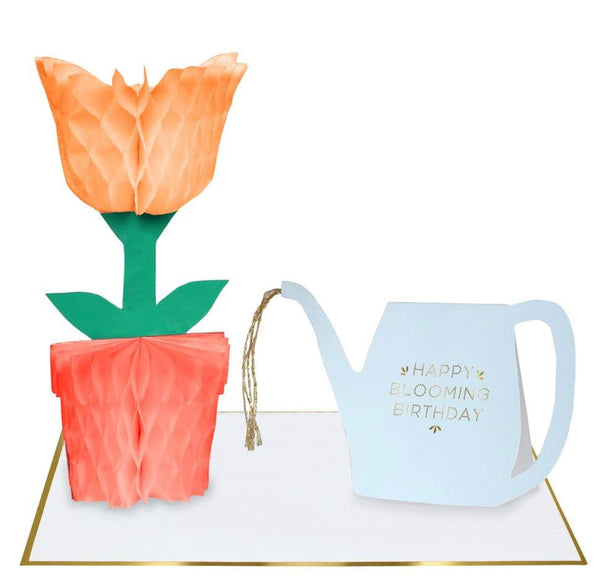 Meri Meri Flower & Water Jug Honeycomb Card