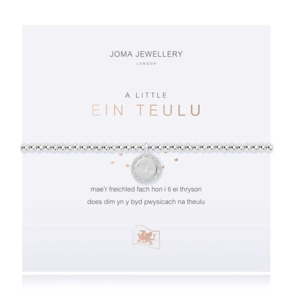 Joma Jewellery A Little Our Family Welsh Bracelet