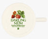 Emma Bridgewater Vegetable Garden Strawberries Darling Mum 1/2 Pint Mug Boxed