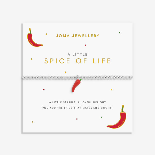Joma Jewellery A Little Vibes 'Spice Of Life' Bracelet