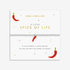 Joma Jewellery A Little Vibes 'Spice Of Life' Bracelet