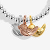 Joma Jewellery A Little Charmed Moments 'Robins Appear When Loved Ones Are Near' Bracelet