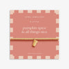 Joma Jewellery Autumn's Calling A Little 'Pumpkin Spice And All Things Nice' Bracelet