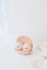 Yvonne Ellen Shell Salt & Pepper Shakers