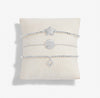 Joma Jewellery Christmas Celebrate You 'Christmas Wishes' Bracelet Gift Box