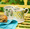 Emma Bridgewater Mimosa 1/2 Pint Mug