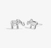 Joma Jewellery Beautifully Boxed 'Lucky Elephant' Earrings