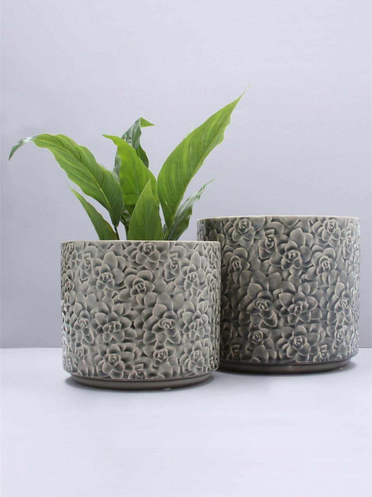 gisela graham plant pot Gisela Graham Ceramic Pot Cover