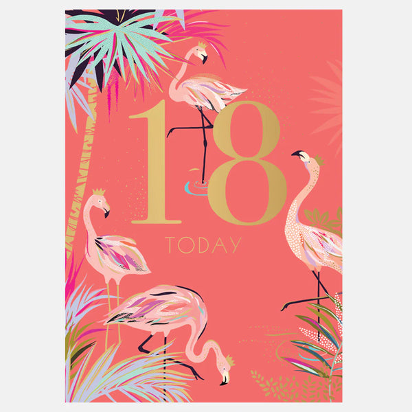 Sara Miller Fabulous Flamingo 18th Birthday Card