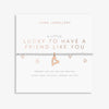 Joma Jewellery 'Lucky To Have A Friend Like You' A Little Bracelet