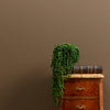 Frenchic Paint Al Fresco - Drama Llama