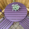 Frenchic Paint Al Fresco - Boujee