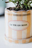 Yvonne Ellen Stripe Planter