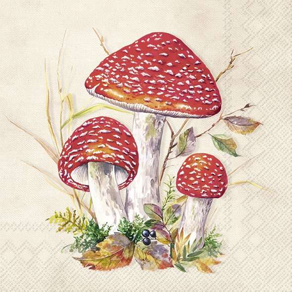 Toadstool Lunch Napkins