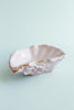 Yvonne Ellen Oyster Pinch Pots