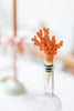 Yvonne Ellen Coral Bottle Stopper