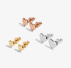 Joma Jewellery Florence Graduating Hearts Earrings Set