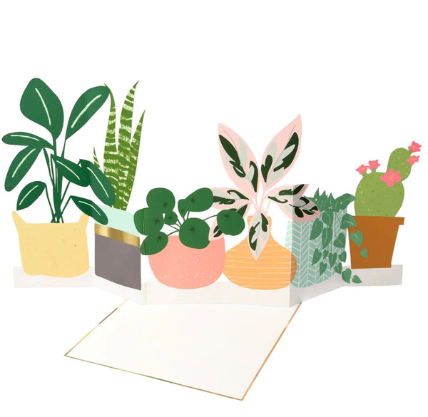 Meri Meri Potted Plant Card