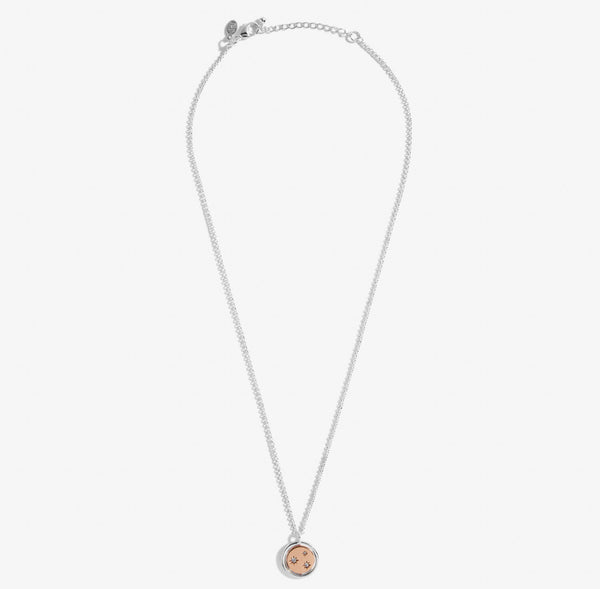 Joma Jewellery Sentiment Spinners 'Family' Necklace