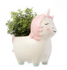 Sass & Belle Rainbow Unicorn Planter