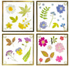 Sass & Belle Pressed Flowers Coaters