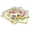 Sass & Belle Pressed Flowers Coaters