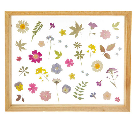 Sass & Belle Pressed Flowers Framed Wall Art