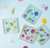 Sass & Belle Pressed Flowers Coaters