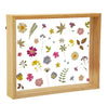 Sass & Belle Pressed Flowers Framed Wall Art