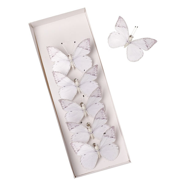 White Butterfies - Box Of Six