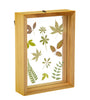 Sass & Belle Herbarium Leaves Floating Frame