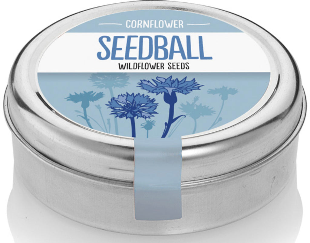 Seedball Cornflower Mix