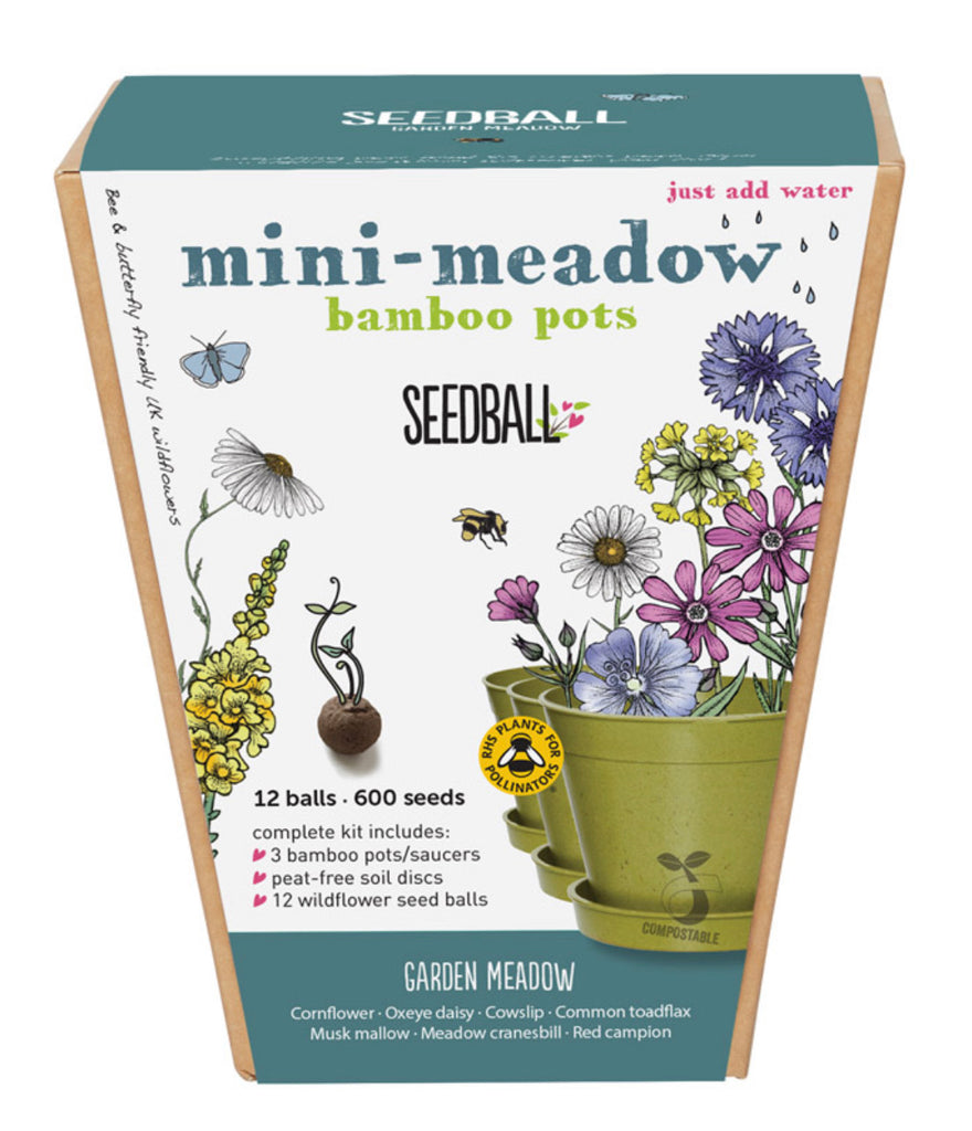 Seedball Mini Meadow - Garden Meadow Mix