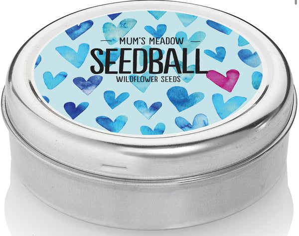 Seedball Mum’s Meadow Mix