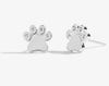 Joma Jewellery Beautifully Boxed A Little Love Has Four Paws Earrings
