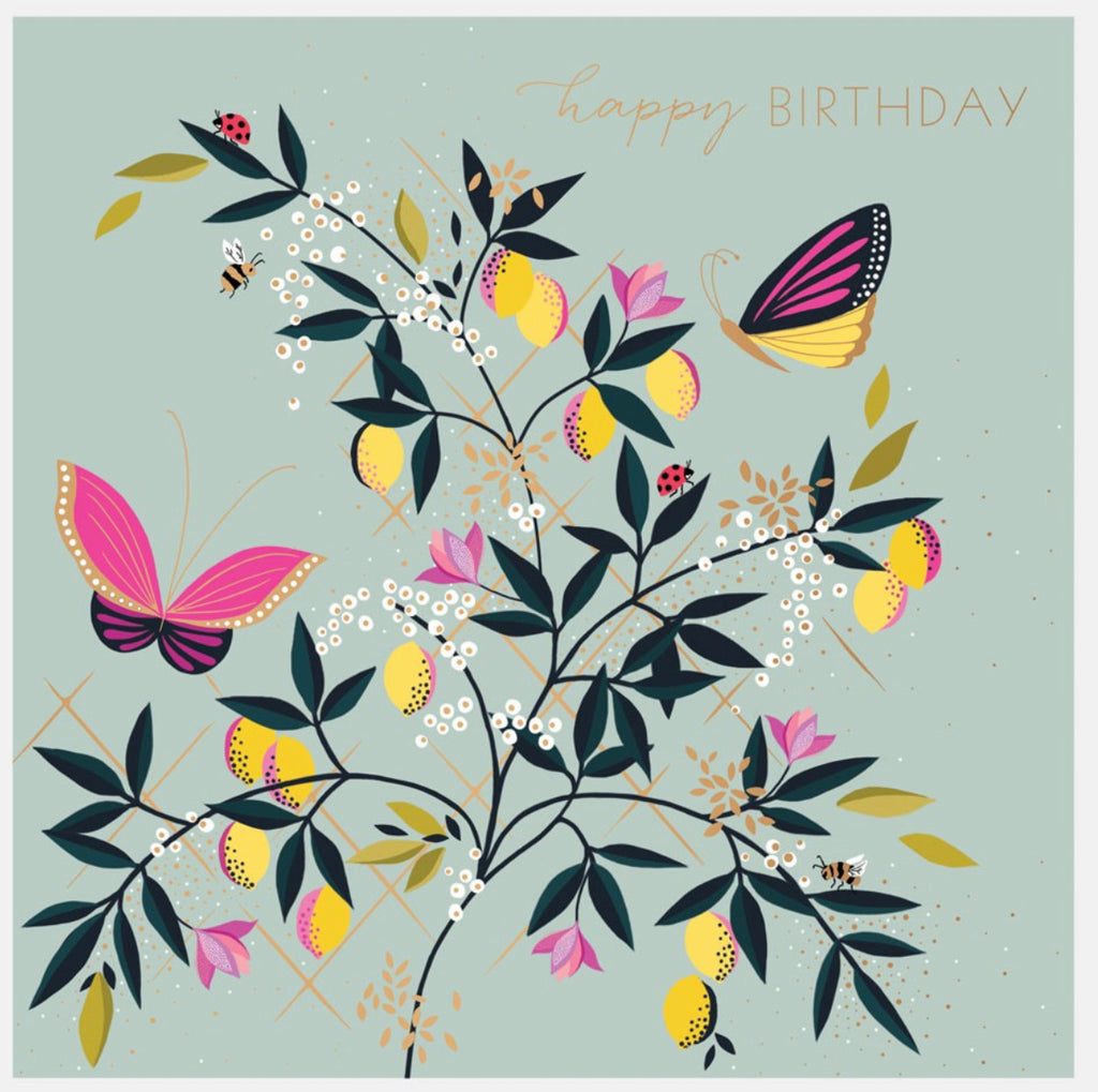 Sara Miller Orchard Duck Egg Butterfly Birthday Card