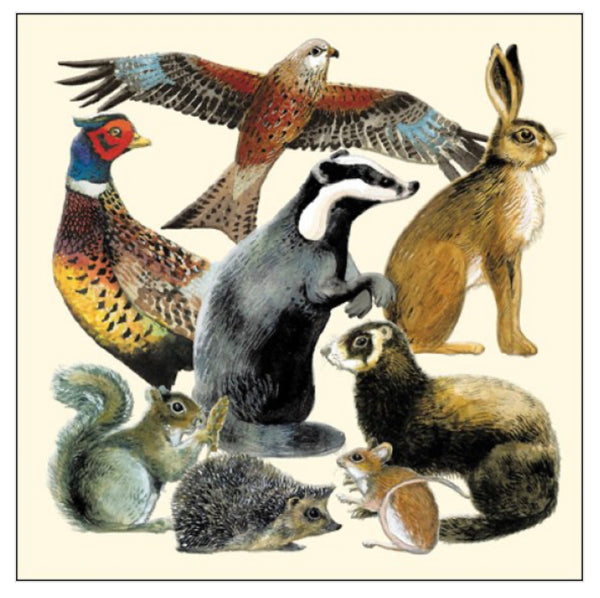 Emma Bridgewater Wildlife Card