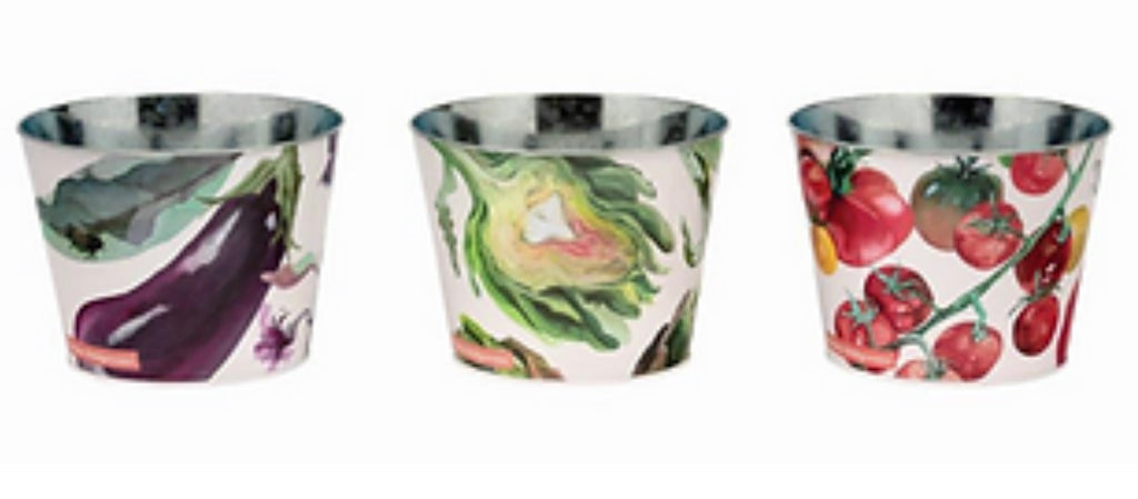 Emma Bridgewater Dig The Garden Herb Pots - Set Of 3