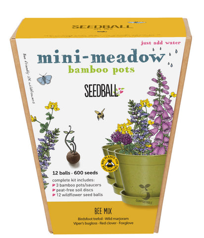Seedball Mini Meadow - Bee Mix