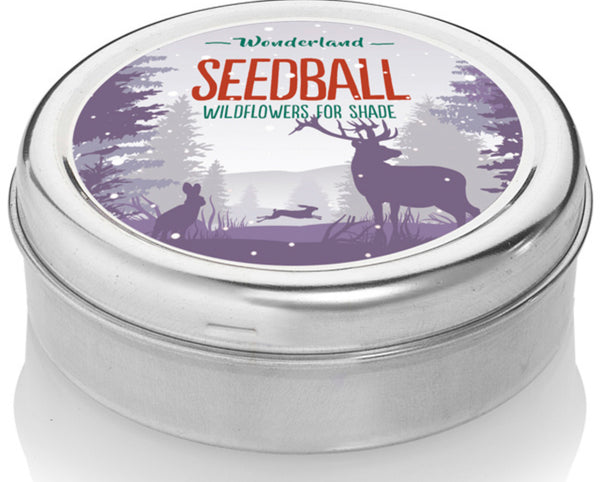 Seedball Wonderland Mix