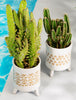 Sass & Belle Ibiza Modern Leggy Planter