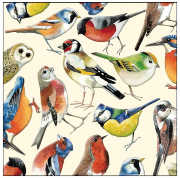 Emma Bridgewater Birds Card